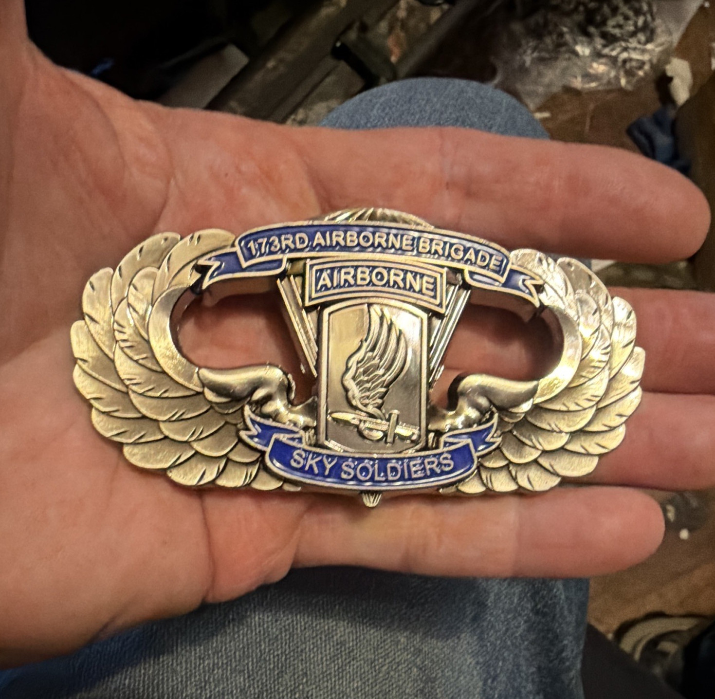 173rd ABN Brigade Sky Soldier Vicenza Italy Army LARGE challenge Coin new D1