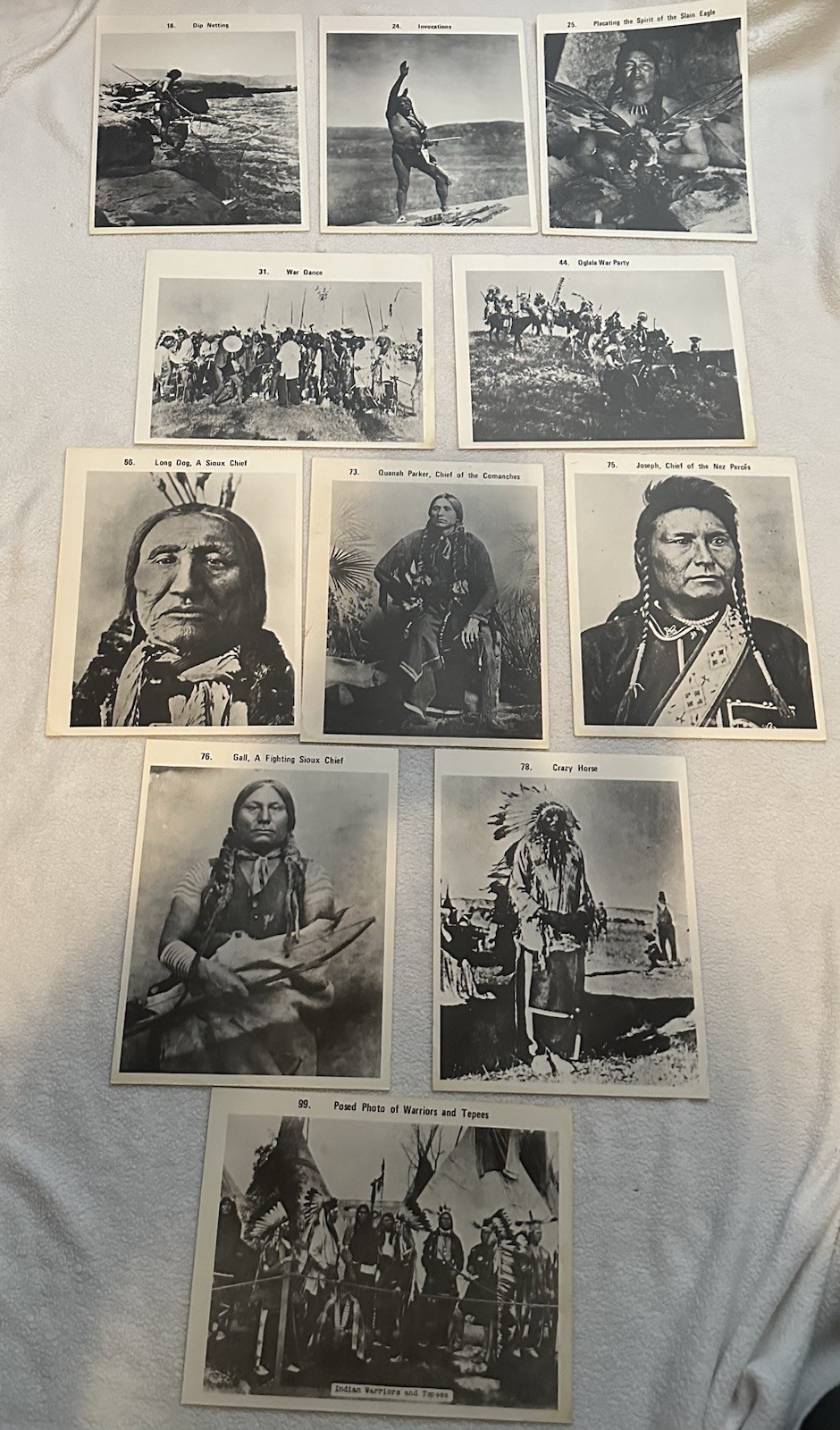 Vintage Native American Photo Prints Lot 9.5x12 Chief Joseph Quanah Parker Sioux
