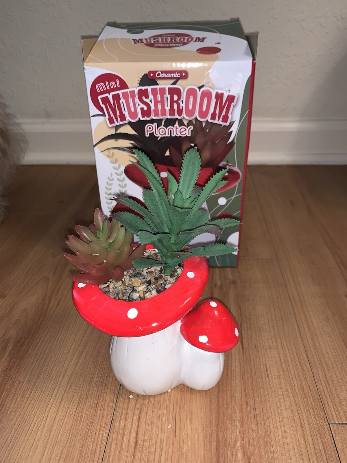 Streamline Ceramic Mushroom Mini Planter New In Box Streamline Ceramic Mushroom Mini Planter New In Box