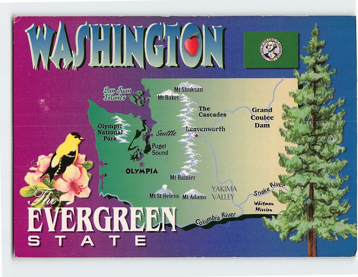 Postcard Washington USA The Evergreen State