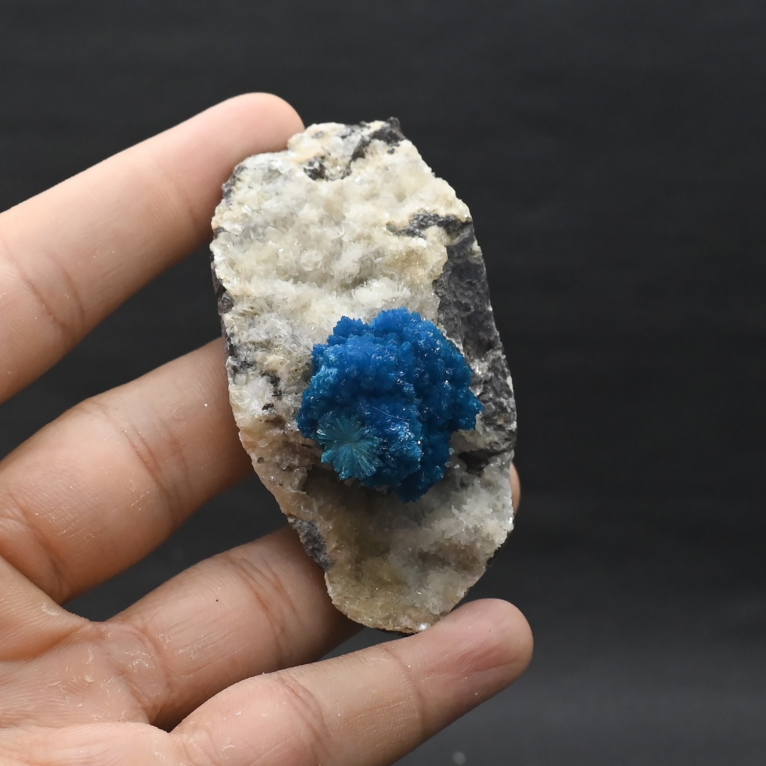 Big rosette of Cavansite on matrix  (non precious natural stone) # 4689