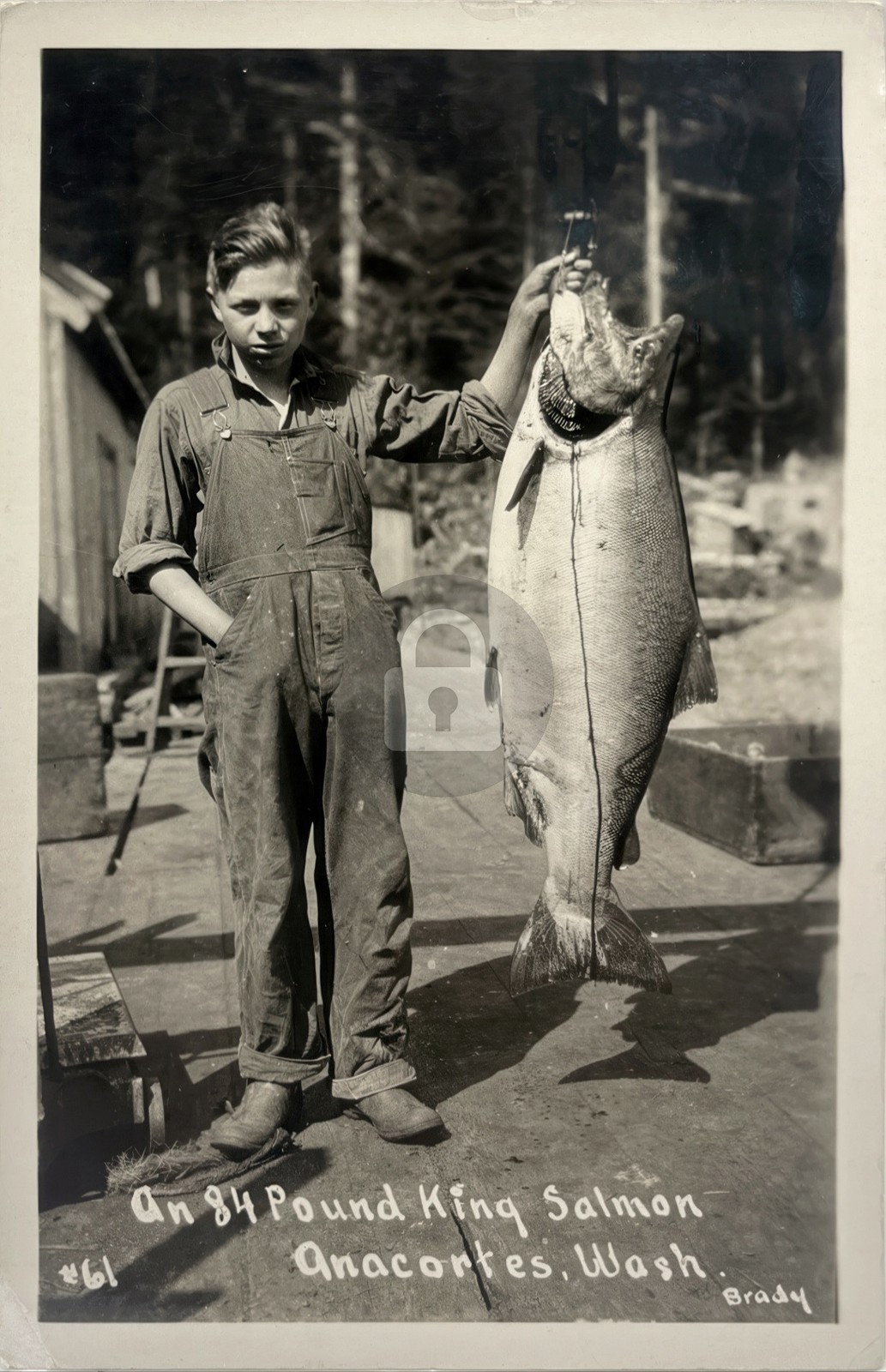 An 84 Pound King Salmon Anacortes Washington Brady RPPC Photo Postcard COPY