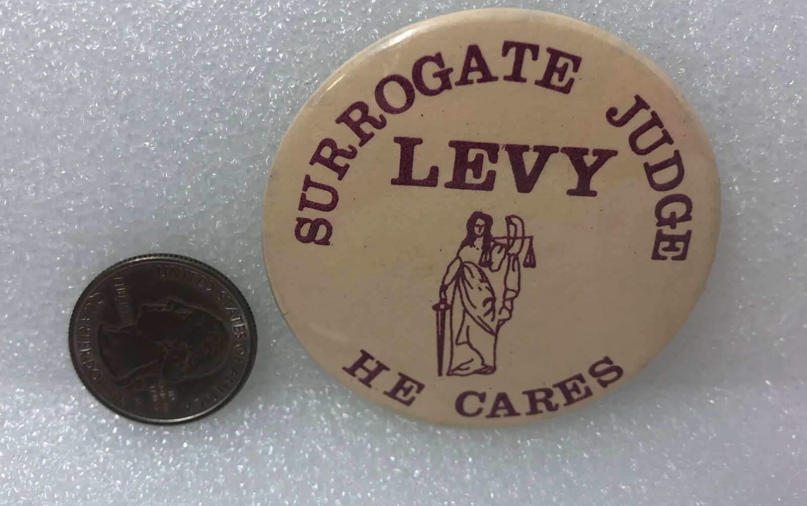 Surrogate Judge Levy He Cares Political Pin