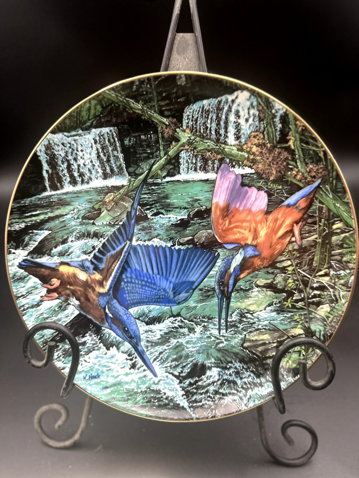 The exotic birds of tropic