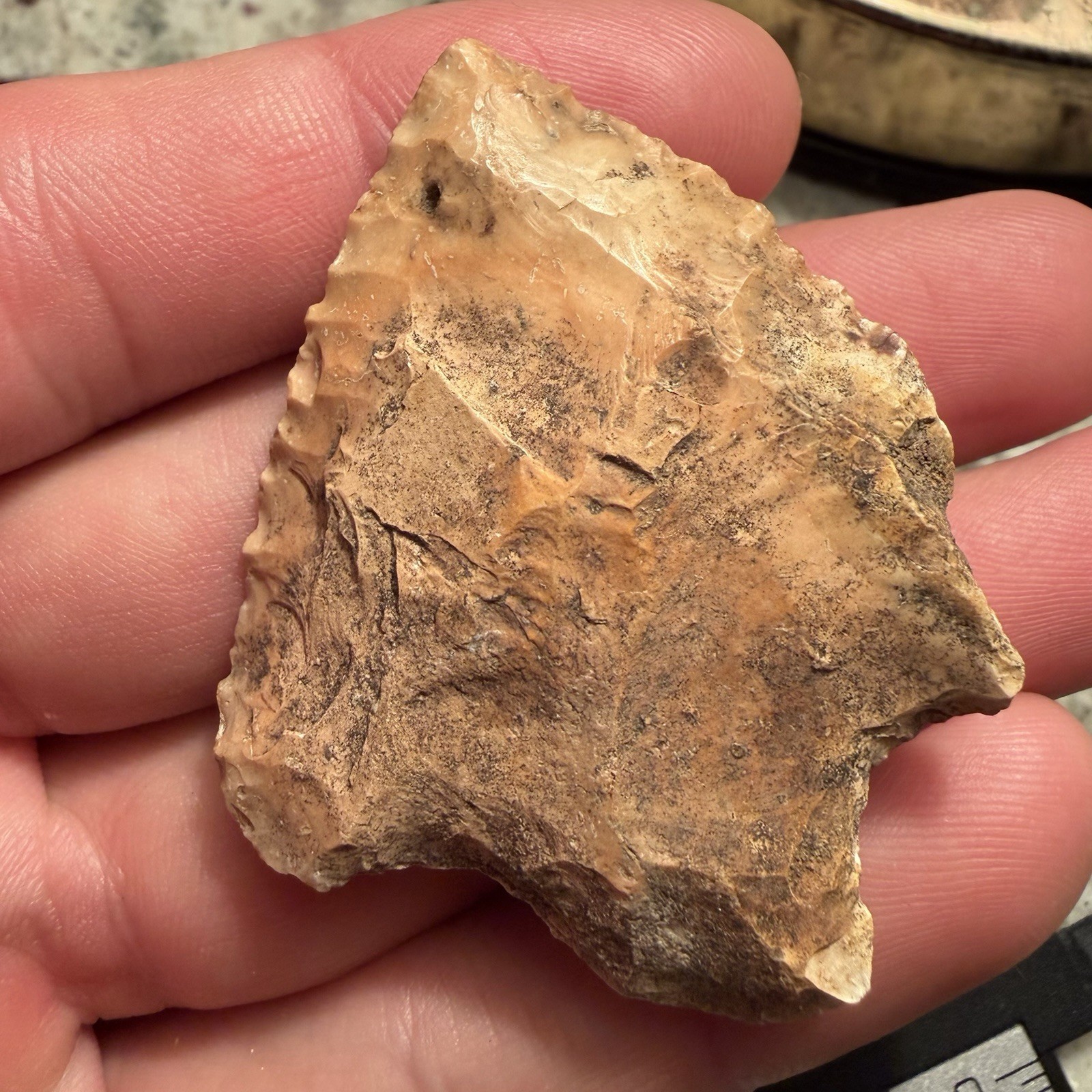 Florida Arrowhead Authentic Savannah Projectile Point Artifact 2.16”