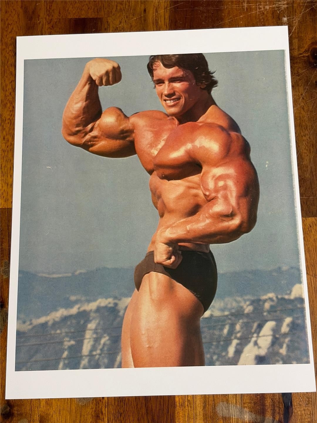 Mr. Olympia ARNOLD SCHWARZENEGGER bodybuilding muscle PHOTO