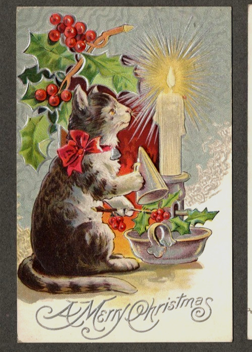 Cute Christmas Cat~Kitten  with Candle ~Vintage~Antique Xmas Postcard~s582
