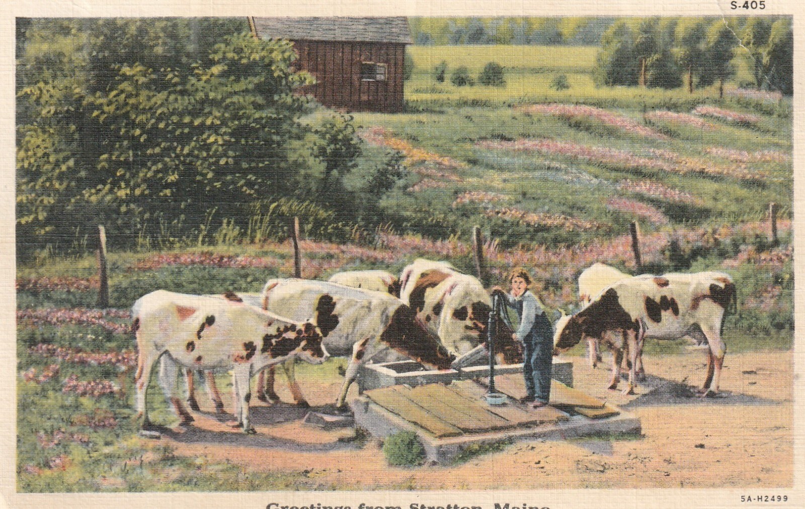 1939 Spring Lake, Maine, PM, Greetings From Stratton, Maine, Farm Scene, a978 1939 Spring Lake, Maine, PM, Greetings From Stratton, Maine, Farm Scene, a978