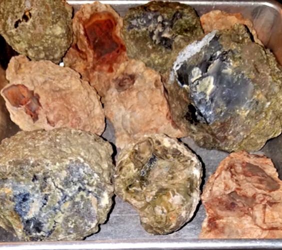 14 LB LOT = 14 to 24 Oregon Thundereggs HALVES Rough Lapidary Rocks