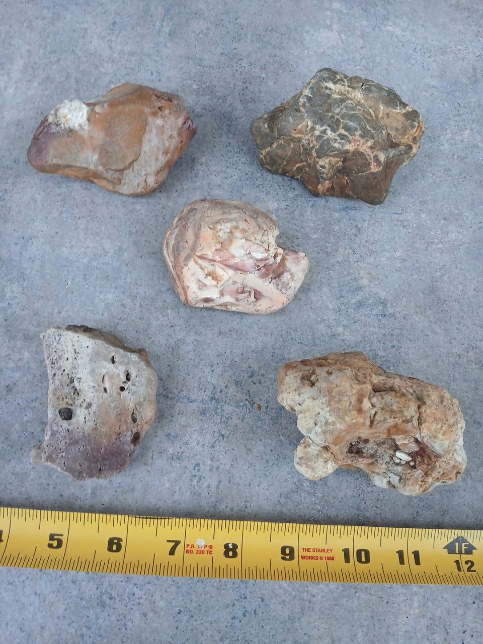 Missouri Ozark Chert Jasper Chalcedony Rough 5 Pc Lapidary Rock Lot Natural
