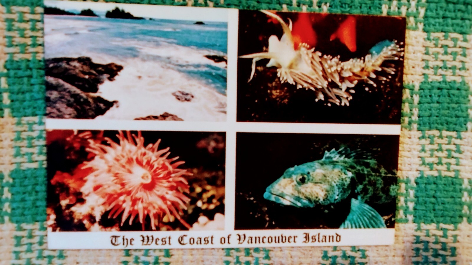 BEAUTIFUL POST CARD WEST COAST OF VANCOUVER ISLAND B.C. CANADA