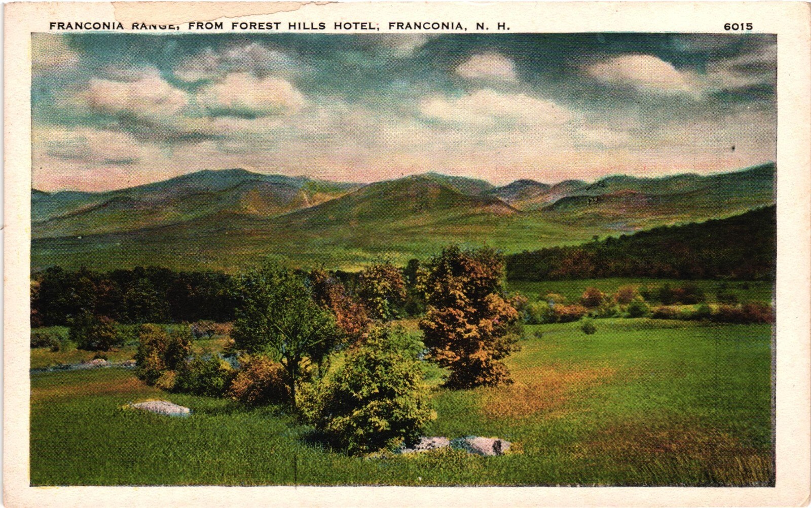 Franconia Range From Forest Hills Hotel New Hampshire NH c1920 Vintage Postcard