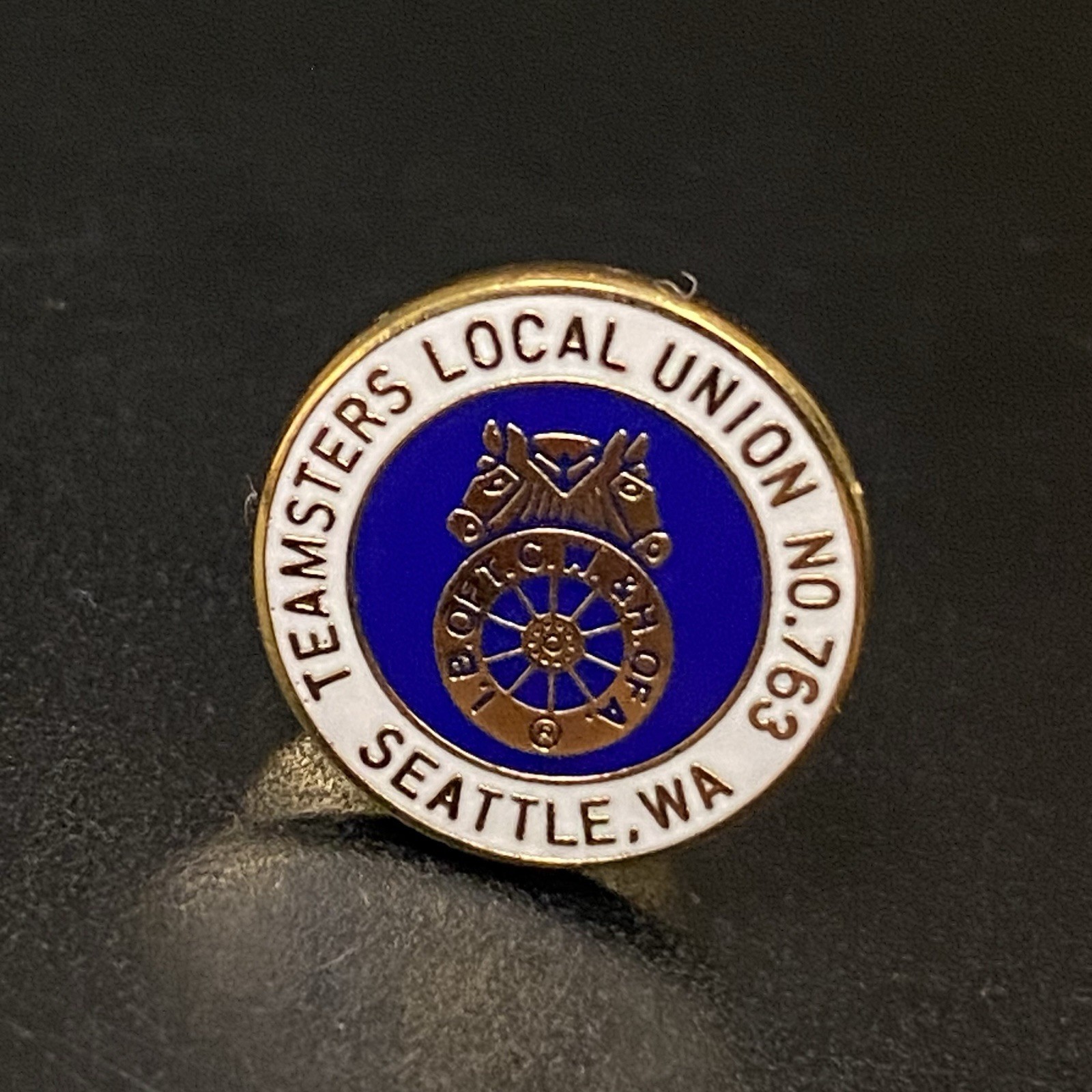 VTG IB of TCW & H. of A. International Brotherhood Teamsters Local 763 WA Pin