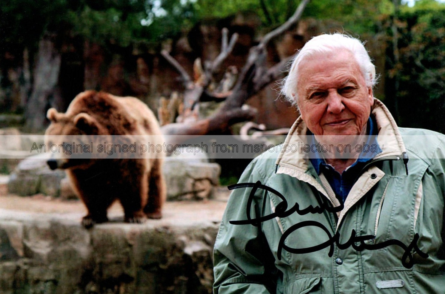 Sir David Attenborough Natural Historian Signed 7.5 x 5 Photograph ***With COA**