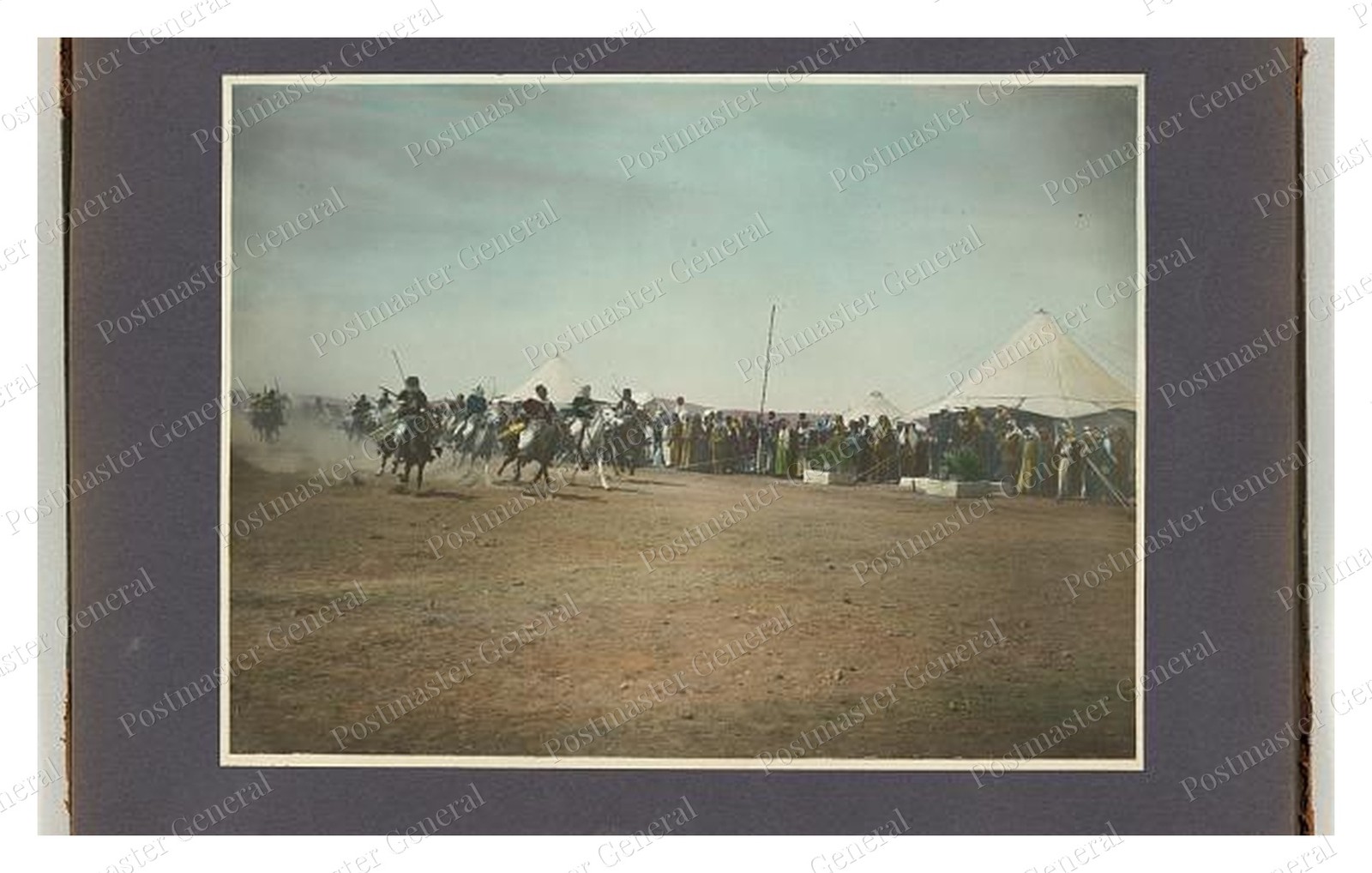 Amman Jordan Horse Race Standard Postcard COPY RPPC