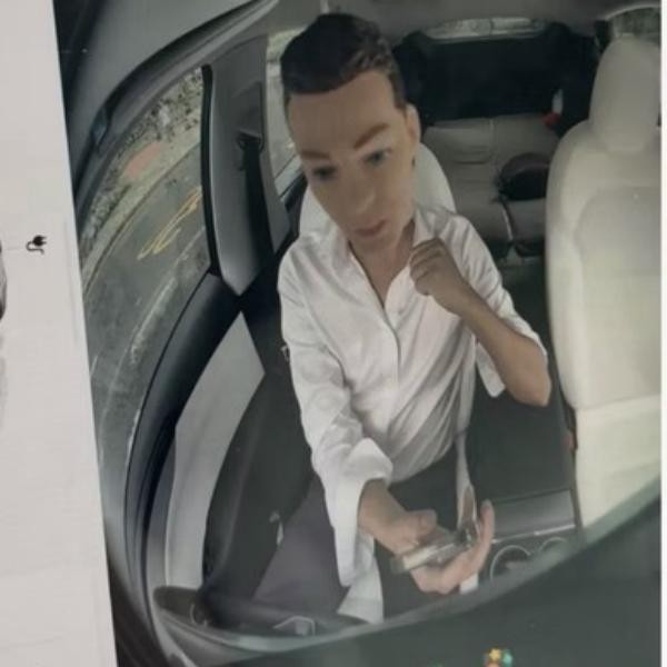 Fun Magnetic Mini Head Tesla Figurine | Car Interior Ornament | Mode3/YL/Y/S