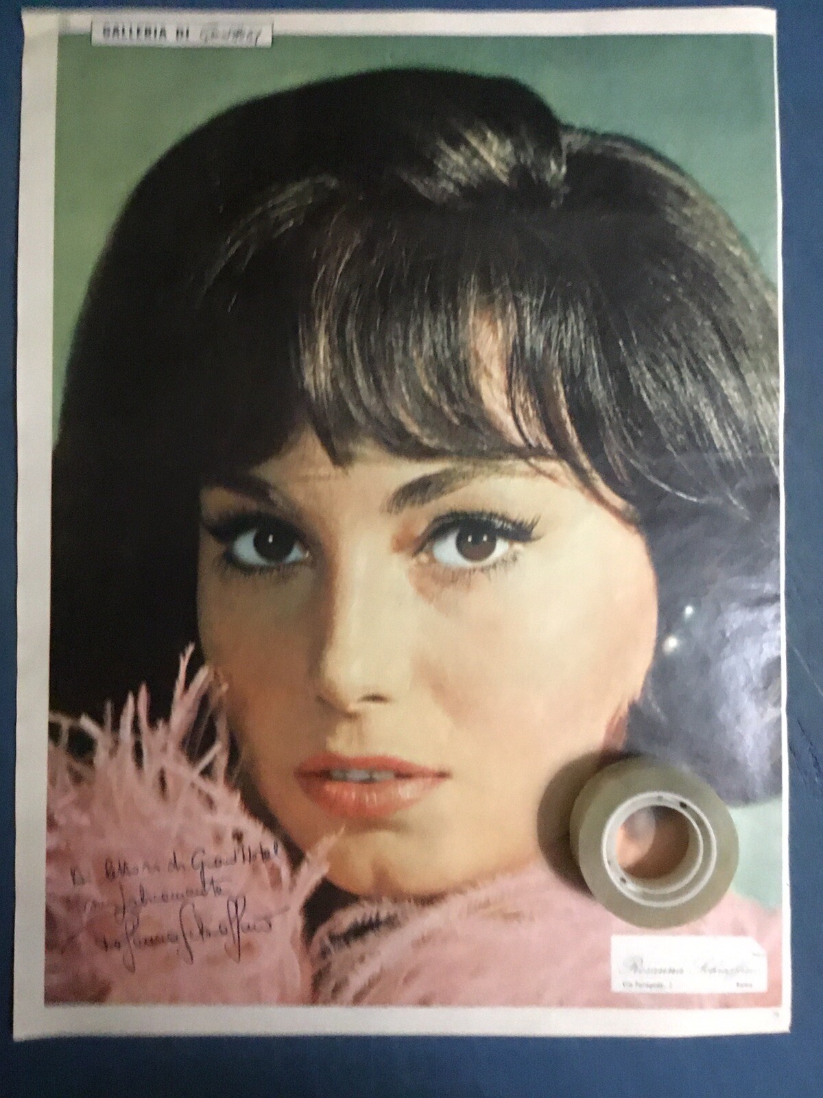 ROSANNA SCHIAFFINO 1967 ROSANNA SCHIAFFINO 1967
