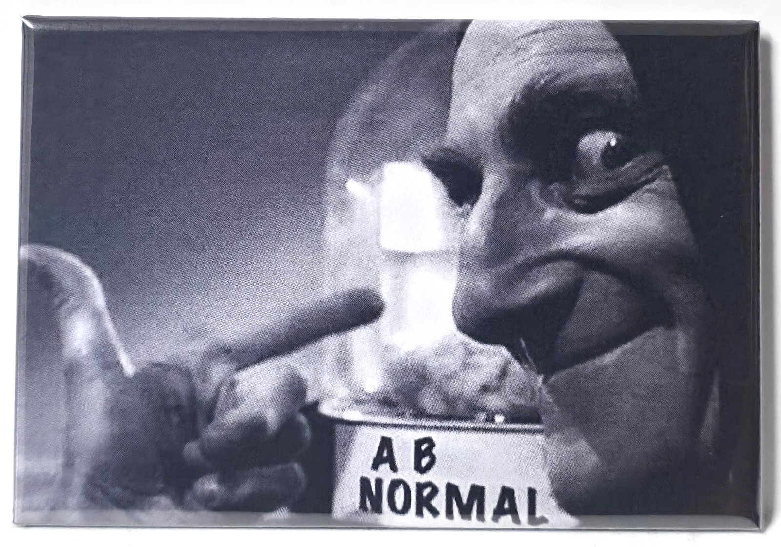 Young Frankenstein MAGNET 2\