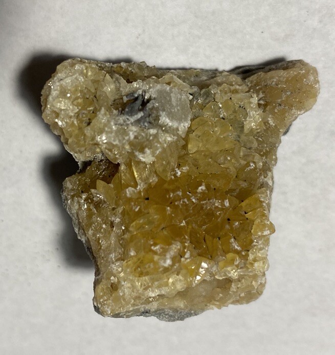 Calcite Shell, Vero Beach FL