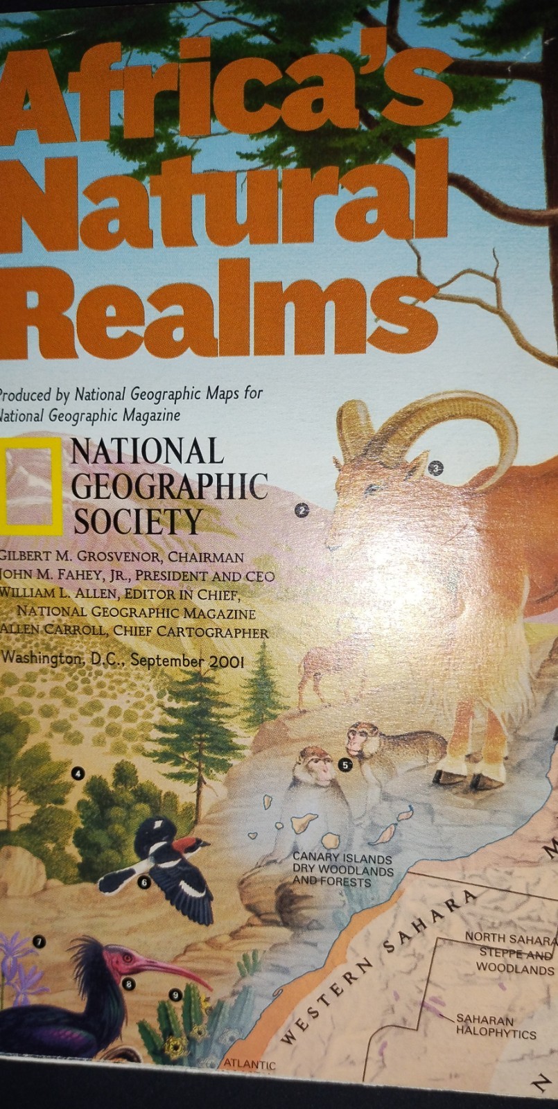 National Geographic Map \