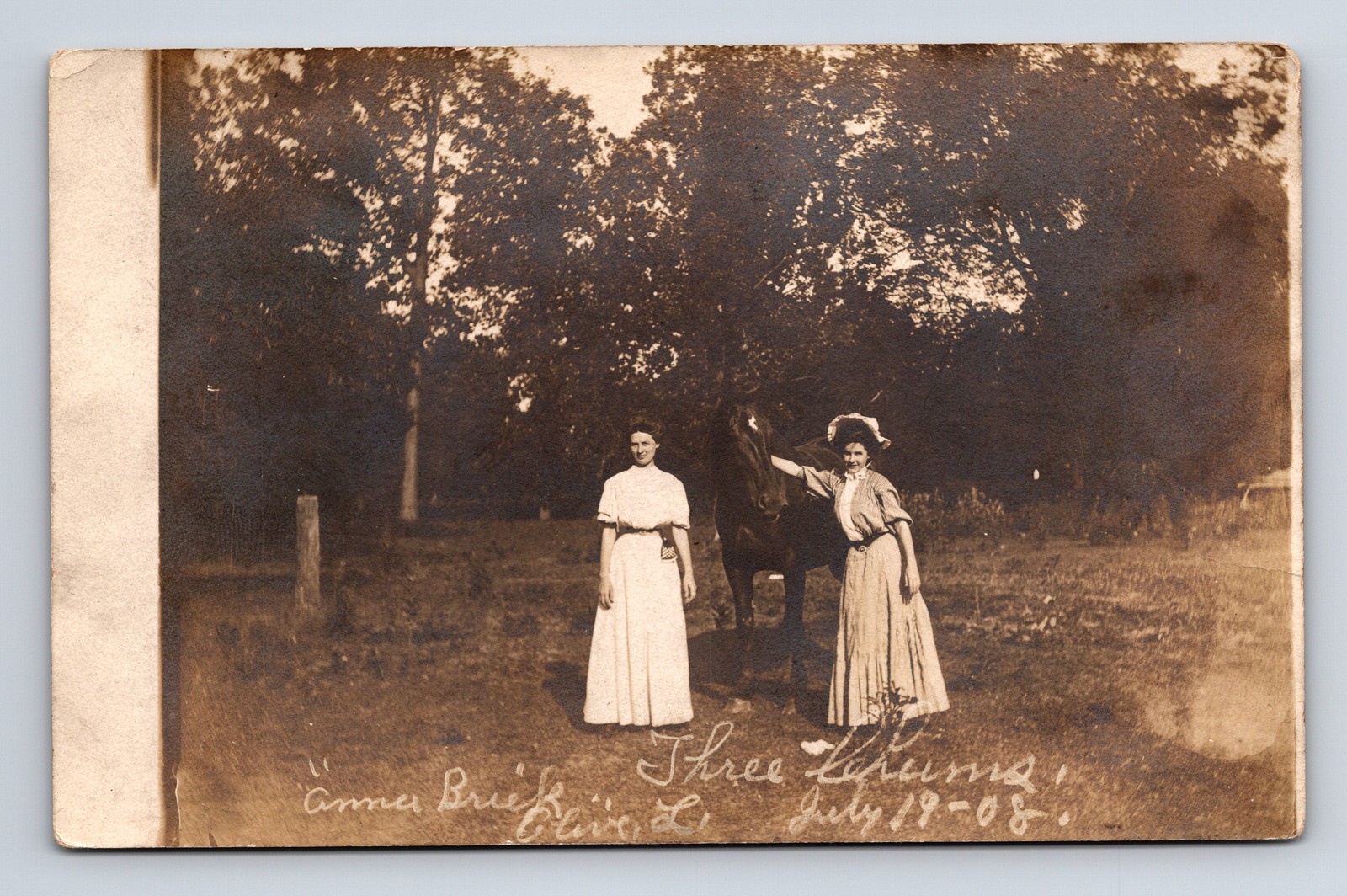 c1908 RPPC Portrait of Two Sisters & Dark Horse Anna Briek Real Photo Postcard