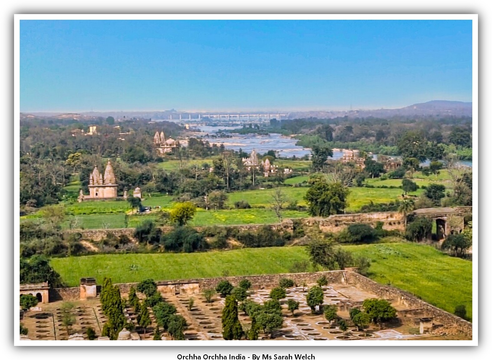 Orchha Orchha India  Postcard