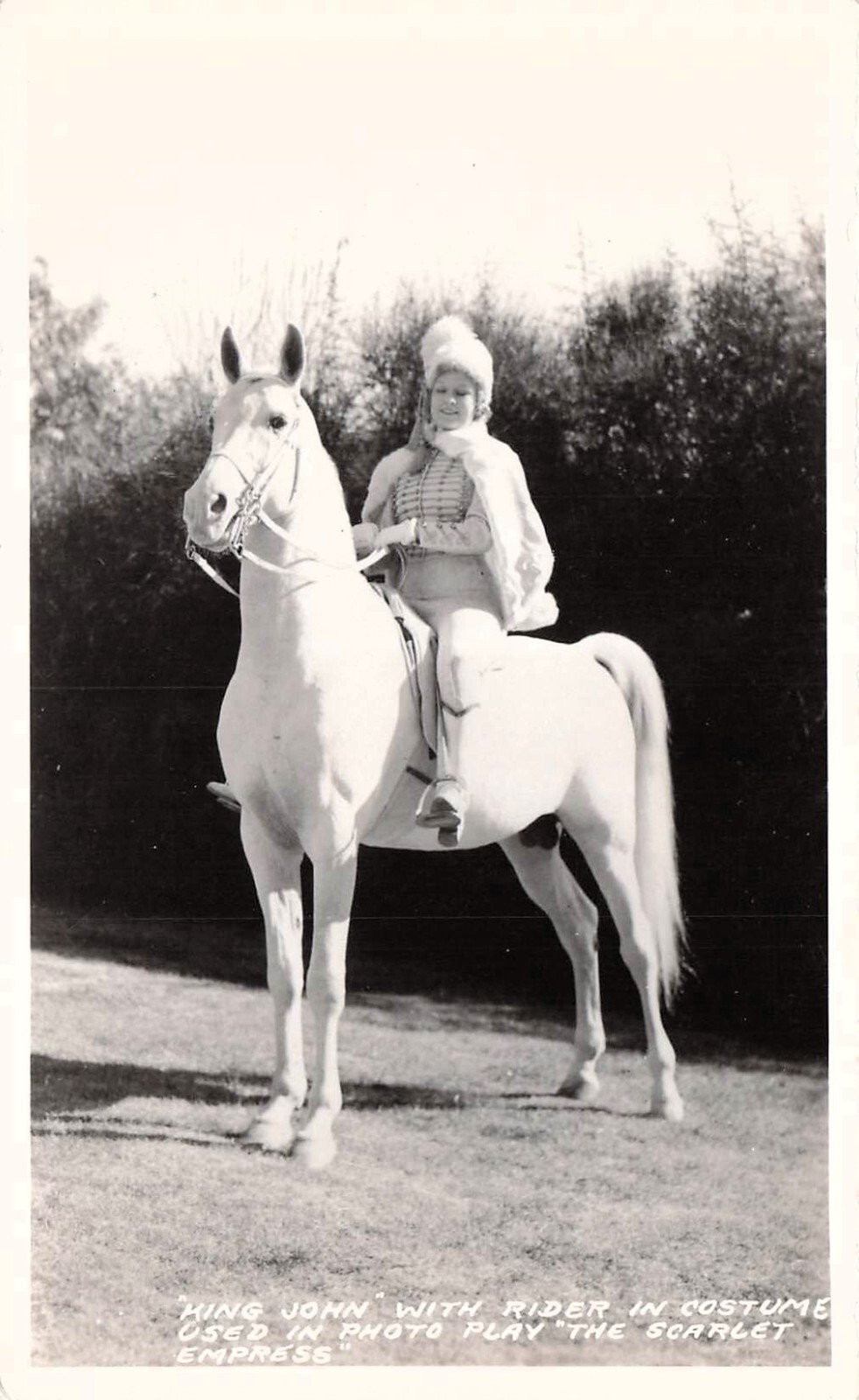 RPPC Pomona California Kellogg Arabian Horse King John Photo Postcard F44
