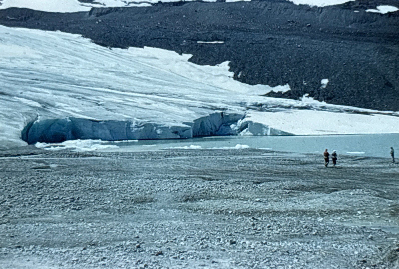 Orig 1954 Slide Columbia Icefield Athabasca Glacier Alberta Canada Rockies B39