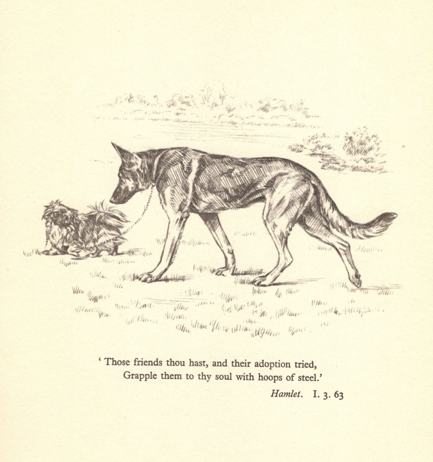 Vintage German Shepherd & Pekingese Print Shakespeare Hamlet Quote 6975p