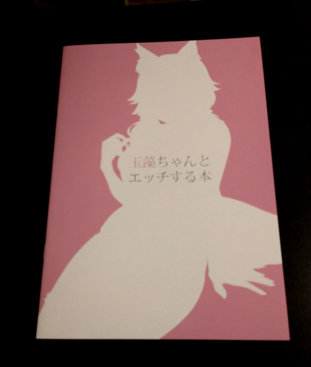 Fate FGO Tamamo Doujinshi   20P/B5