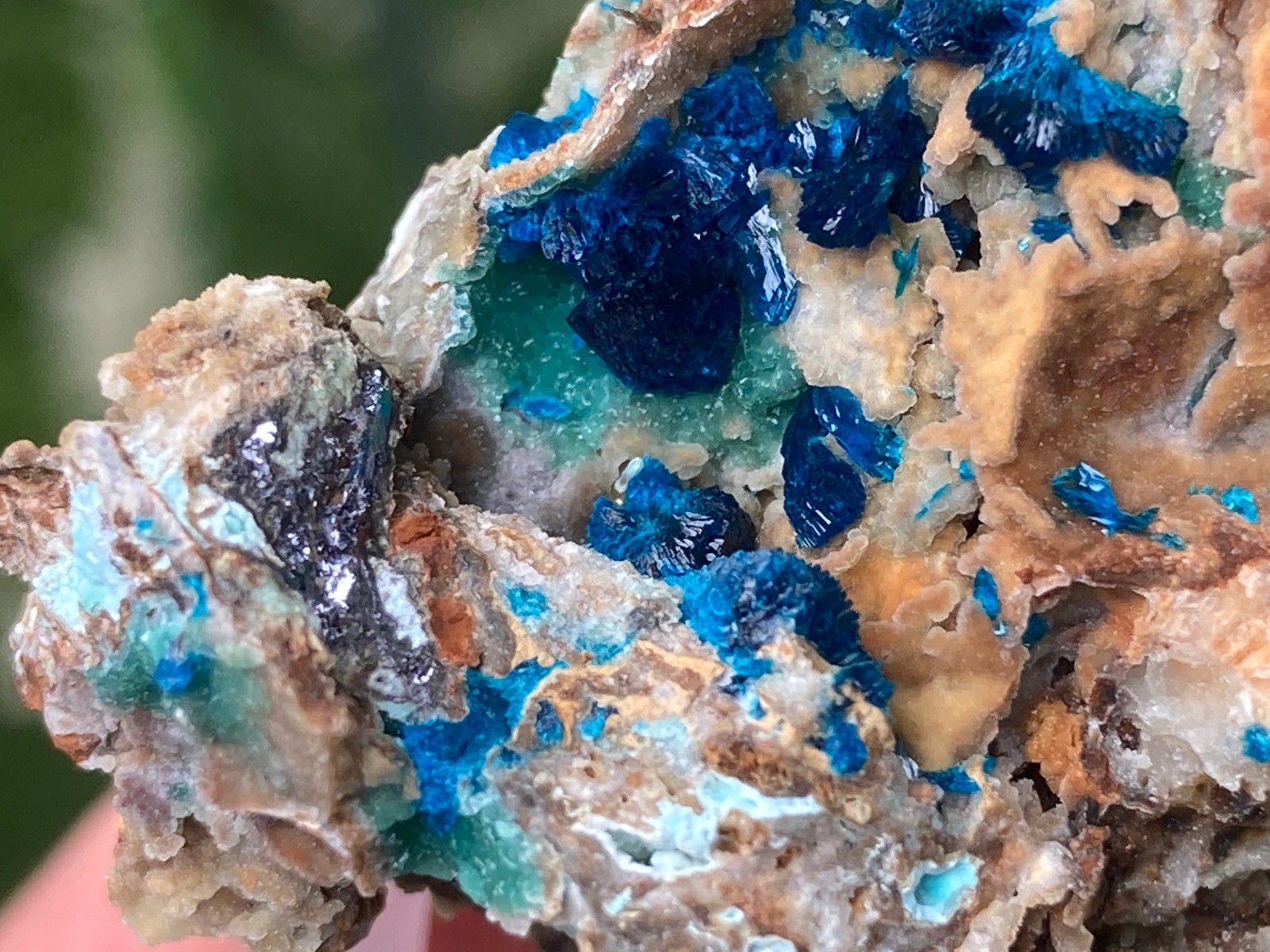 4.9cm  Rare Blue Veszelyite with Hemimorphite on Matrix from China