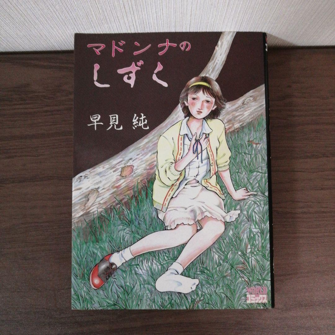 Madonna no Shizuku Jun Hayami Japanese Manga Book Rare Vintage From Japan F/S
