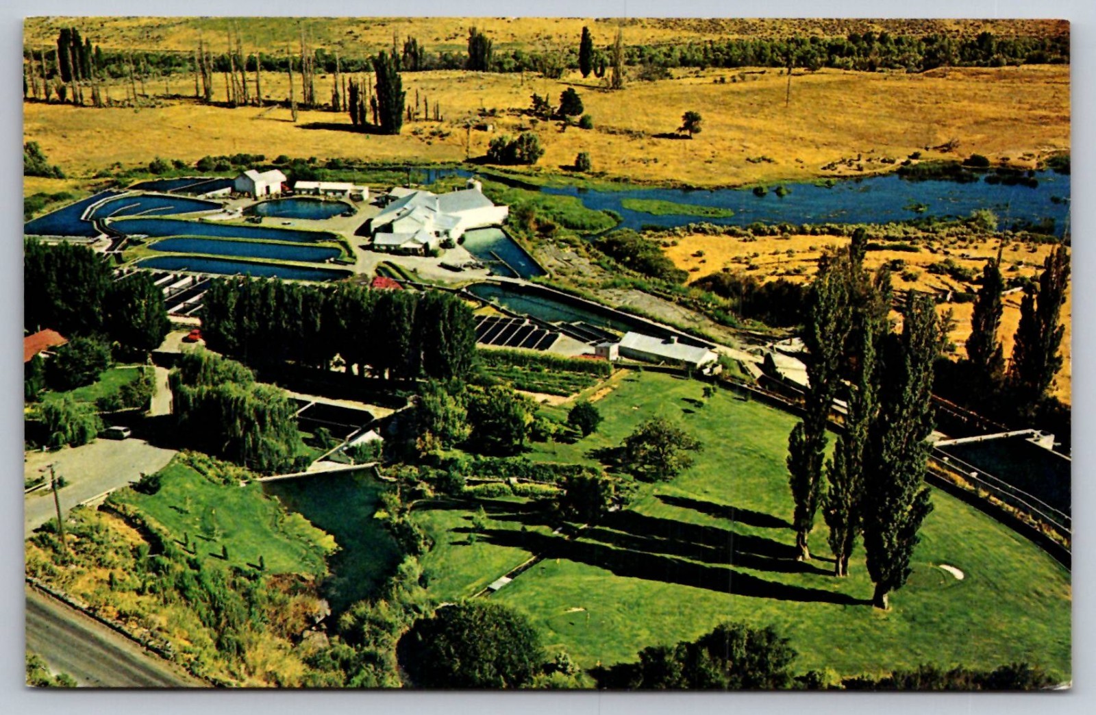 Snake River Trout Ranch Near Buhl Idaho Vintage Postcard