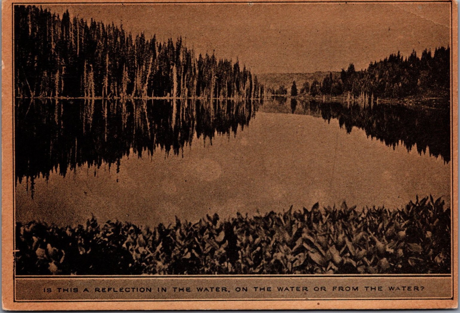Vintage Lake Forest Reflection Riddle Postcard Sepia Tone Unposted