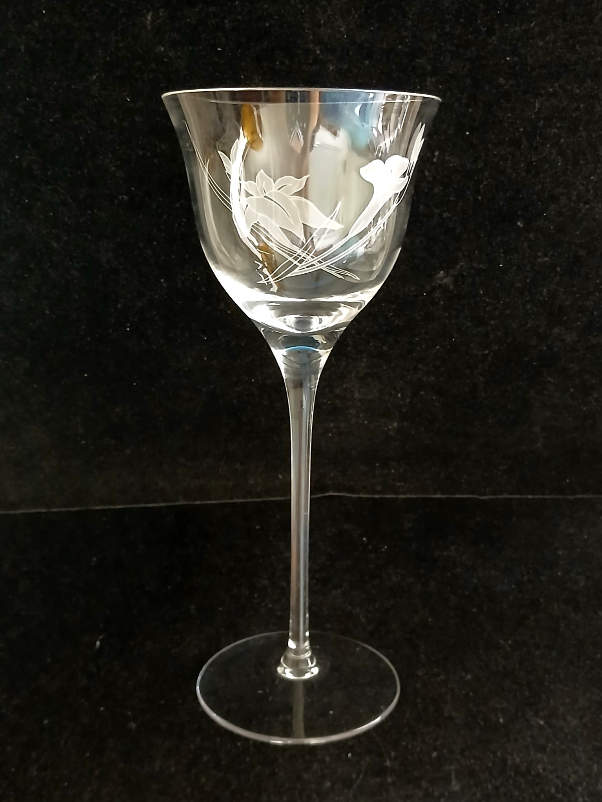 Set of 2 Mikasa Charisma Wine Glasses Frosted Floral Design 8-1/2\ Set of 2 Mikasa Charisma Wine Glasses Frosted Floral Design 8-1/2\