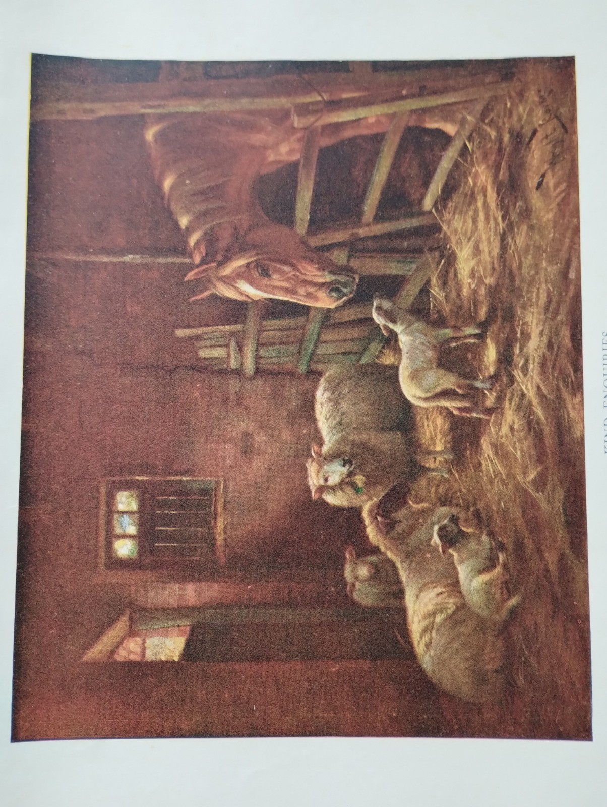 Sk289 Ephemera Book Picture 1930s Kind Enquiries 