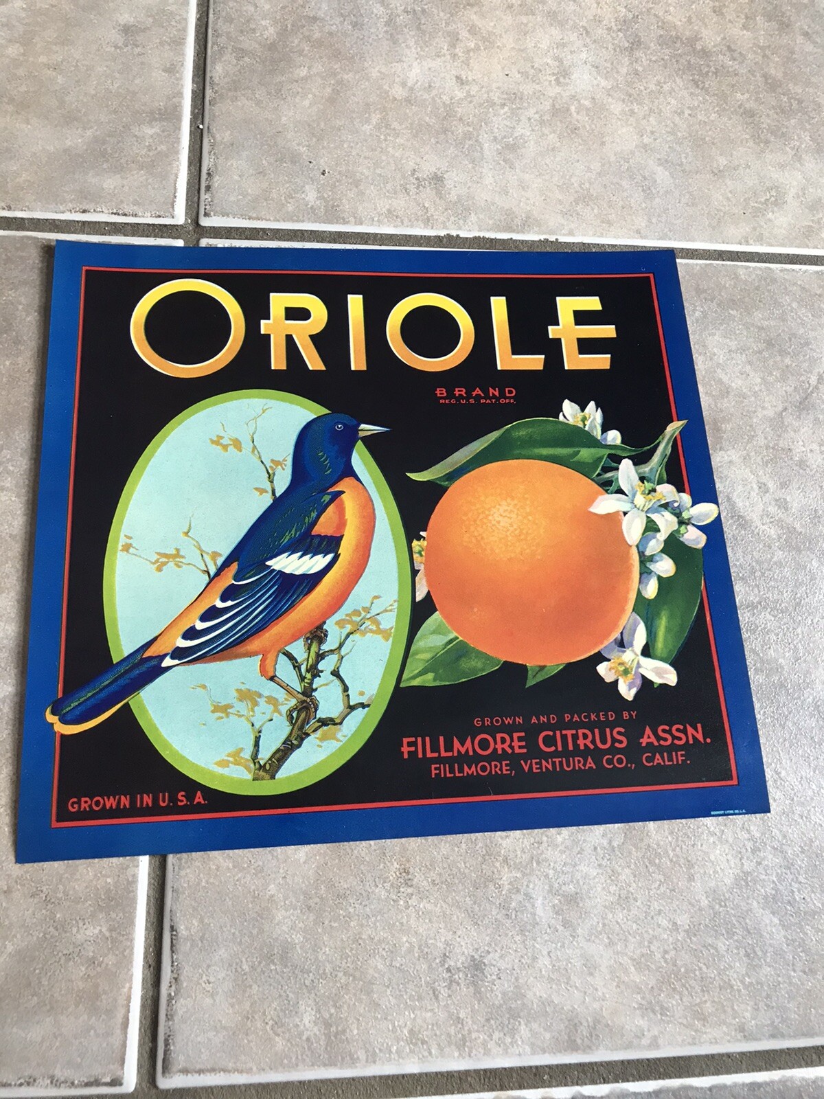 Oriole Brand Oranges Fruit Crate Label Original 1930 Filmore Citrus BRIGHT