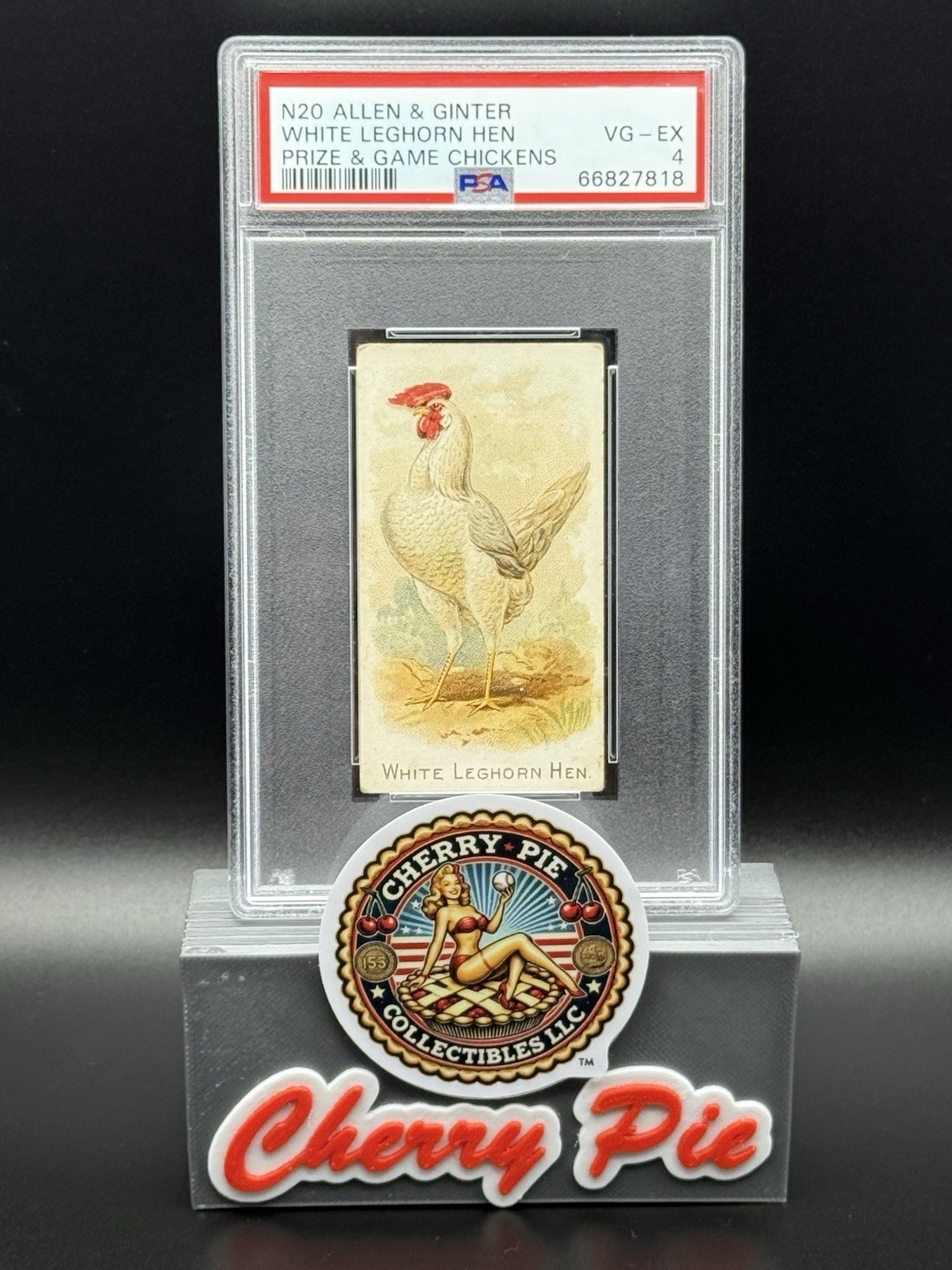 1891 N20 Allen & Ginter Prize & Game Chickens WHITE LEGHORN HEN PSA 4 VG-EX