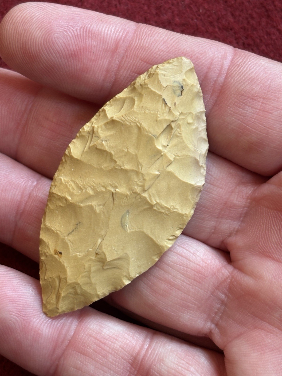 RARE Western Mahaffey Trans Paleo 2 3/8