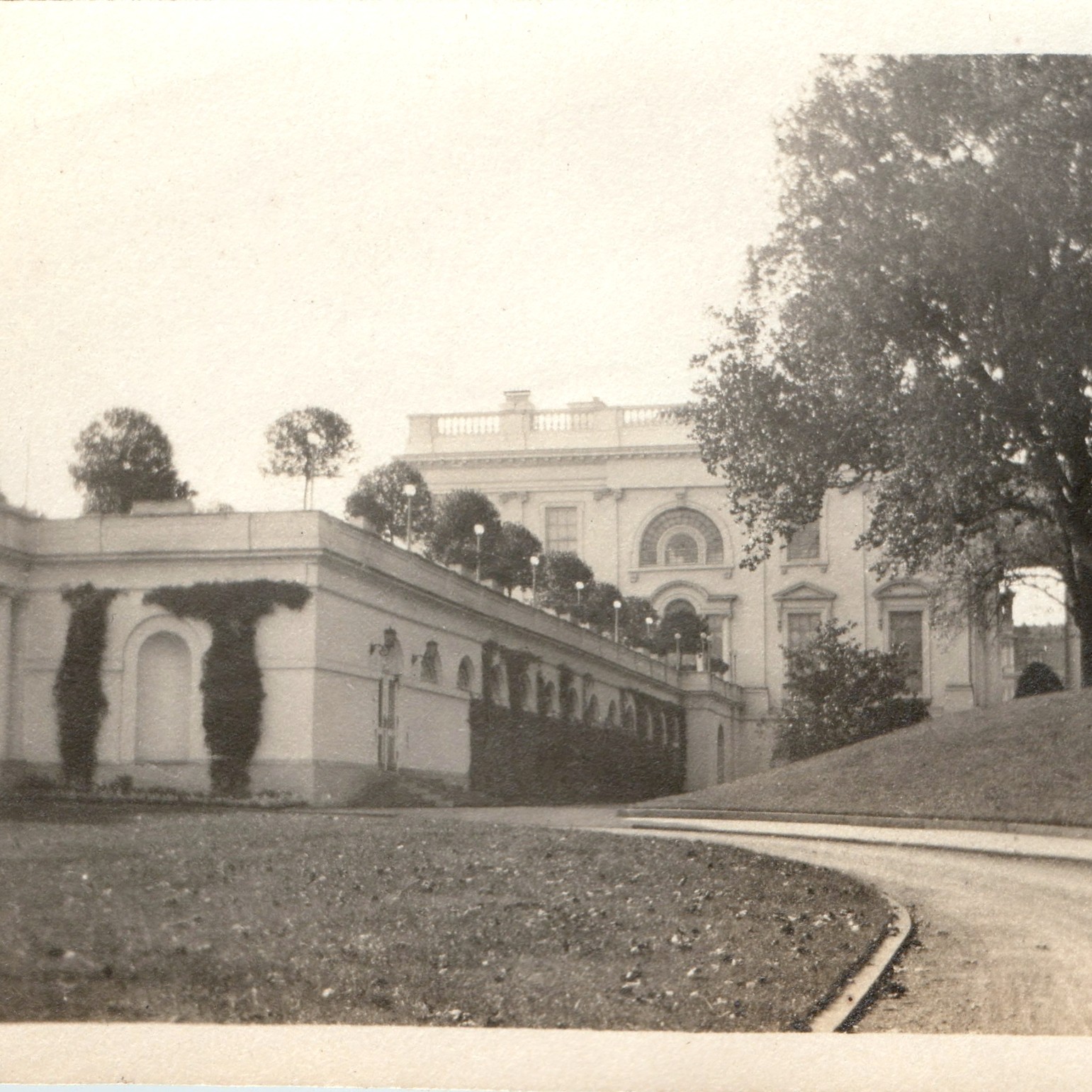 c1910s White House East Terrace Potted Bay Trees Washington, DC 4\ c1910s White House East Terrace Potted Bay Trees Washington, DC 4\