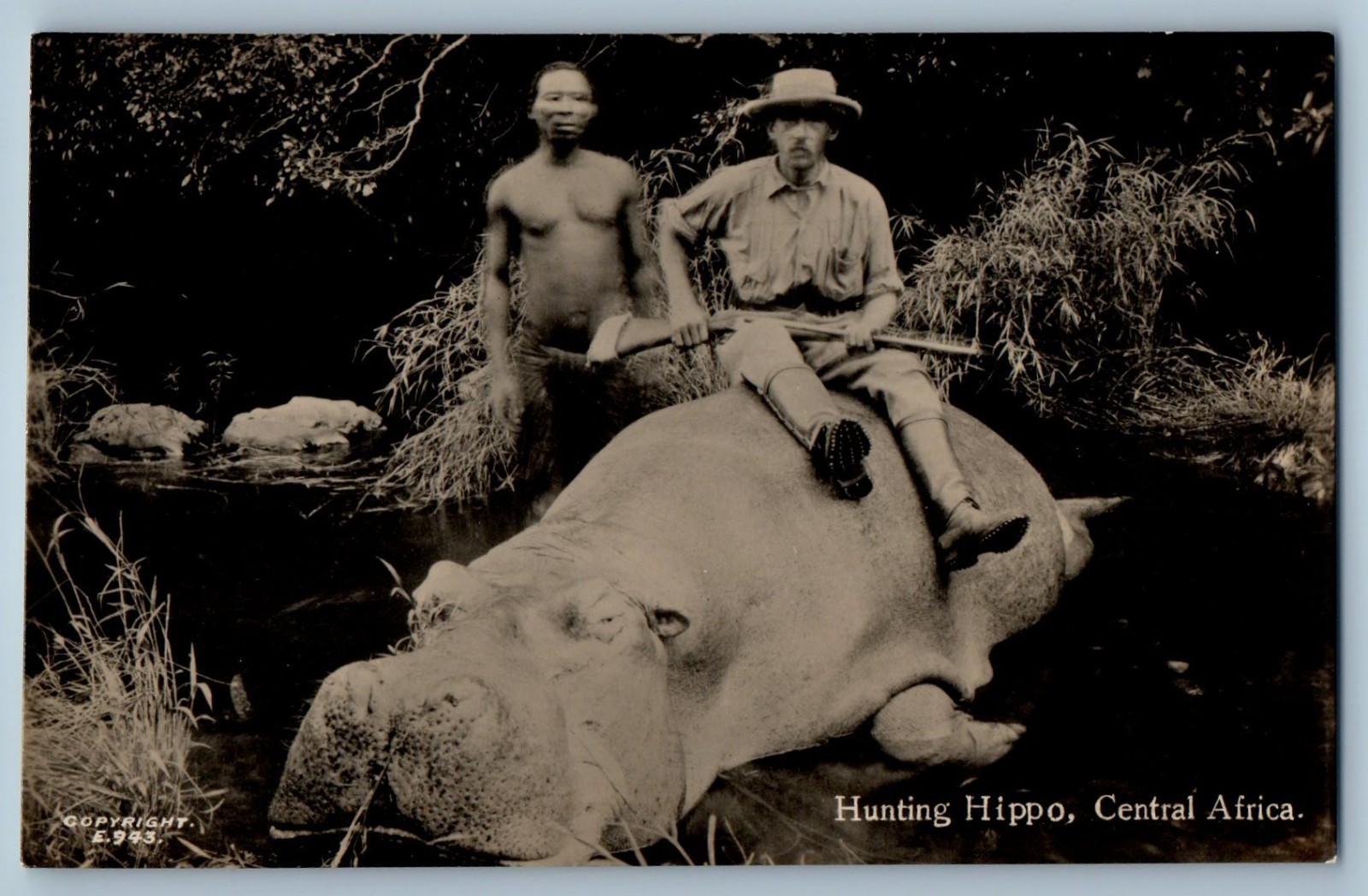 Africa Postcard Hunting Hippo Central Africa Sapsco c1950\'s RPPC Photo