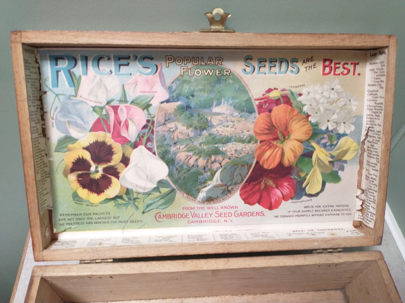 1895 RICE'S FLOWER SEEDS WOOD DISPLAY BOX CAMBRIDGE NY RARE NH WHITE MOUNTAINS 