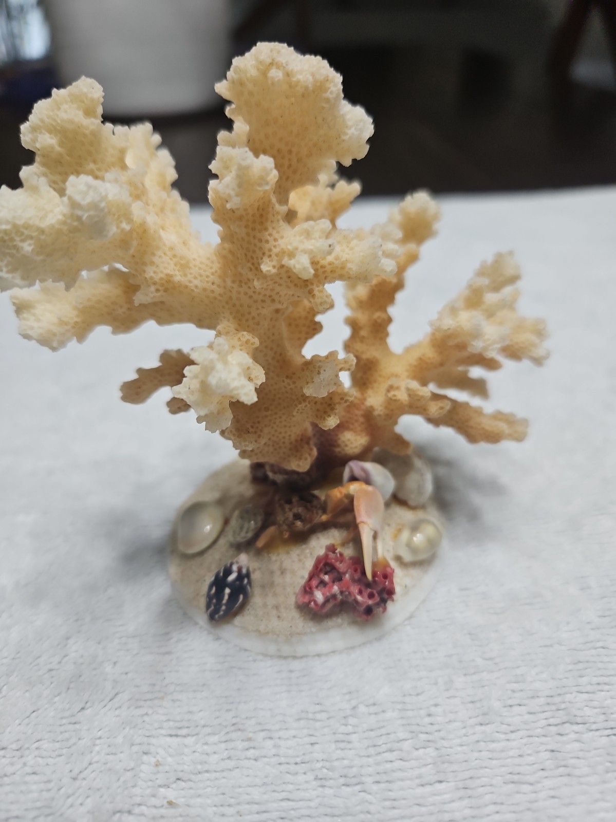 vintage piece of natural branch coral white/brown Decorative 34e