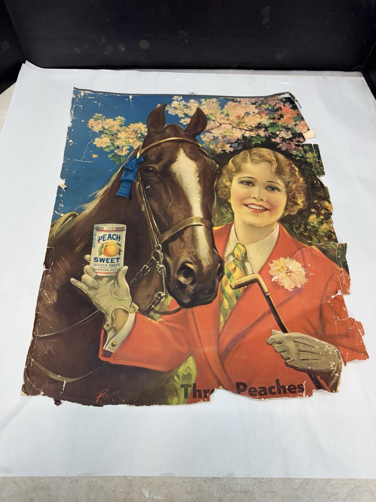 antique peach sweet snuff advertising poster