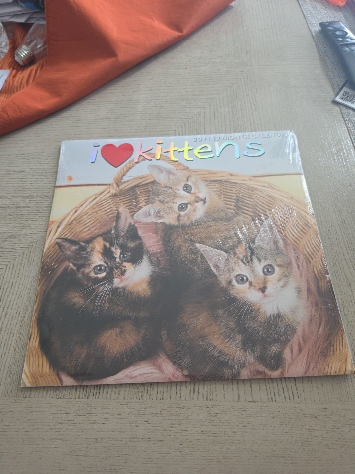 I Love Kittens 12 Month Wall Calendar 2021 12\