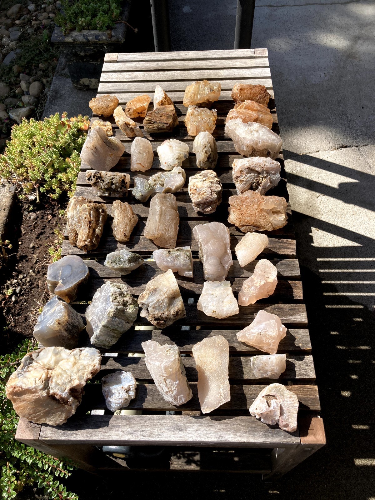 Paulina Oregon Limb Cast Material 17lbs Lot