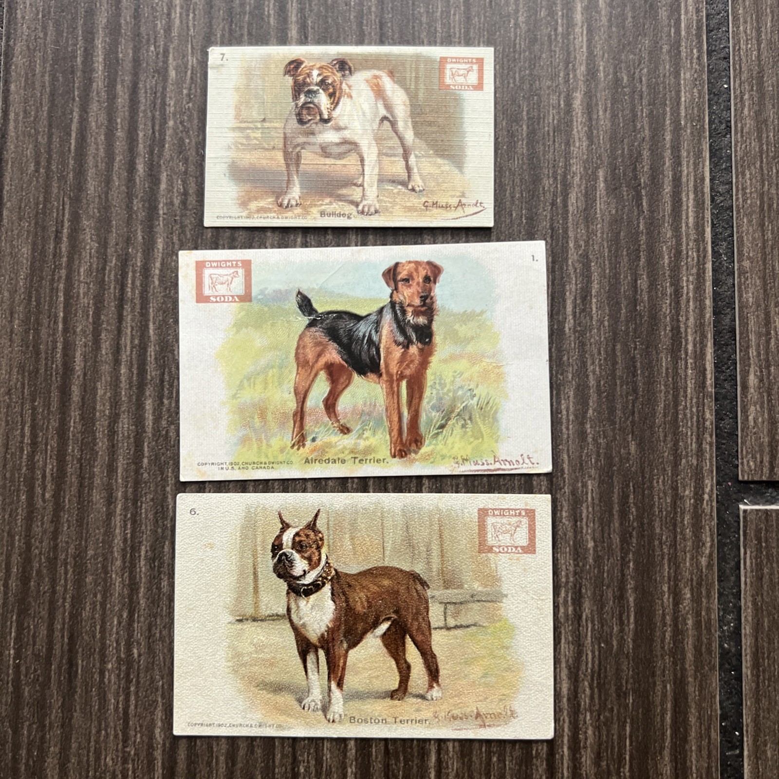 3 Vintage Dwight\'s Soda Champion Dog Series Trade Card 1, 6, 7 Bulldog Terrier