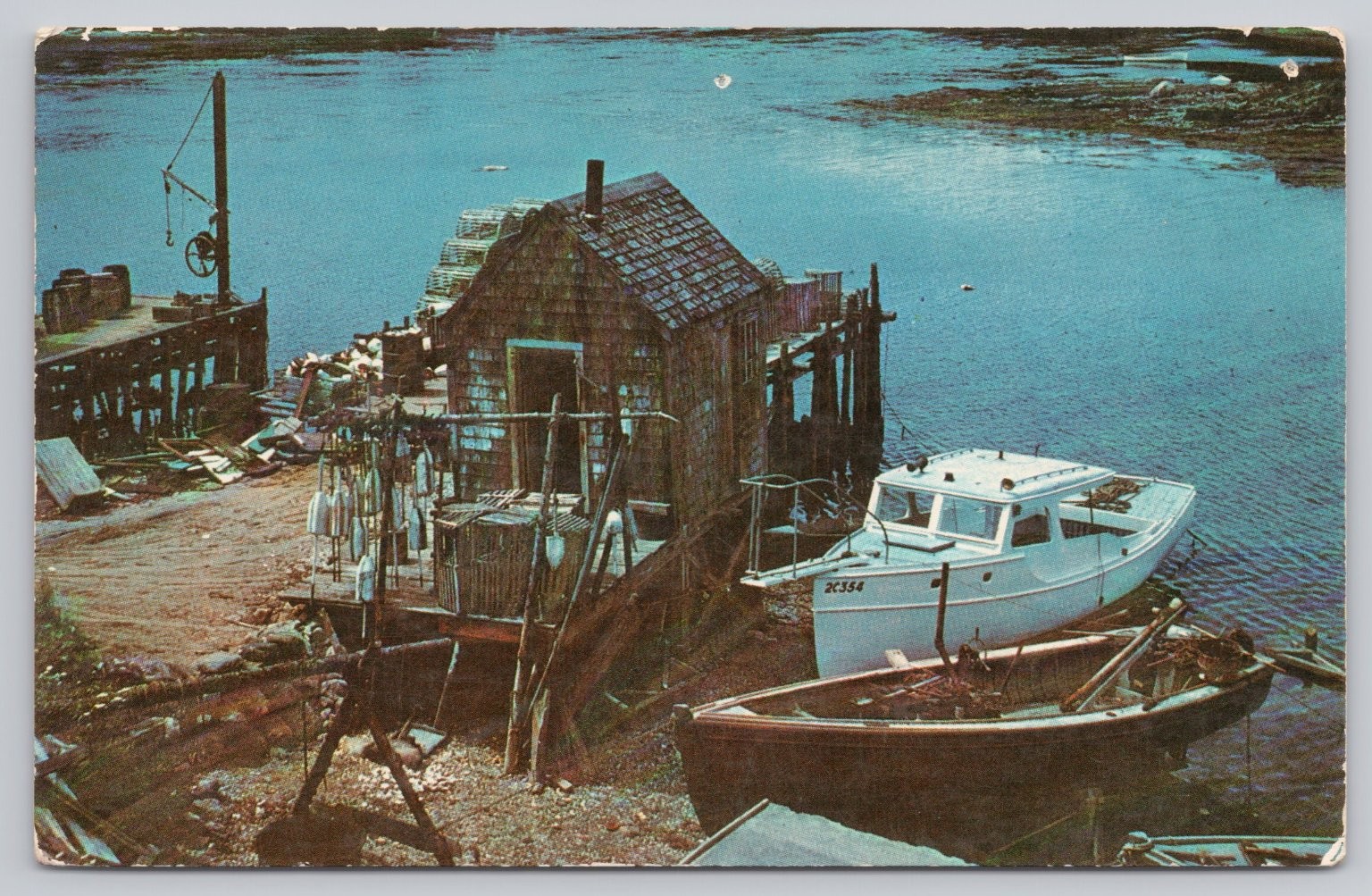 Vintage Typical Maine Fishing Shack Postcard Fisherman\'s Paradise