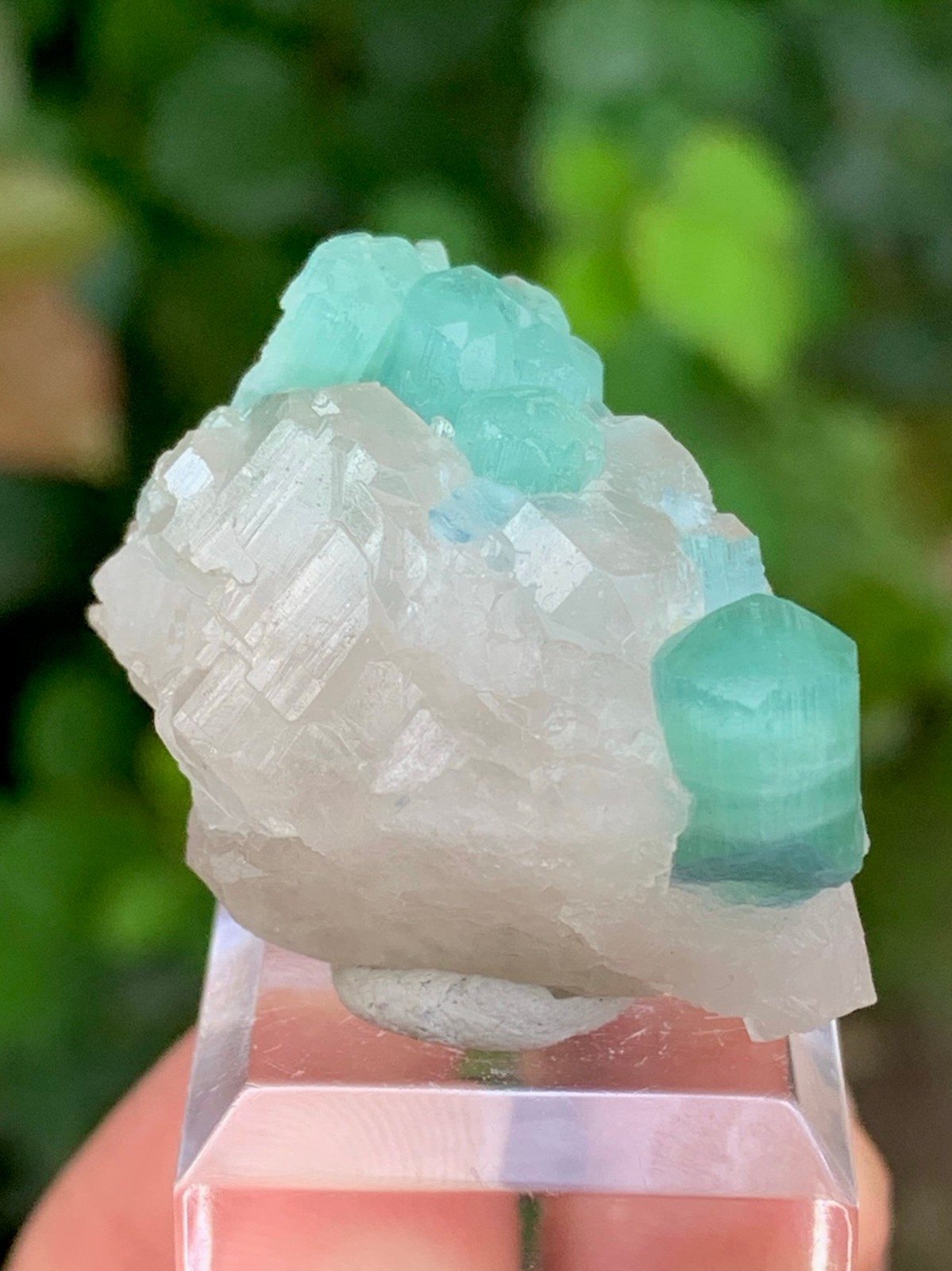 16 Gm Natural Paraiba/Seafoam Color Tourmaline Crystal On Quartz @ Afghanistan