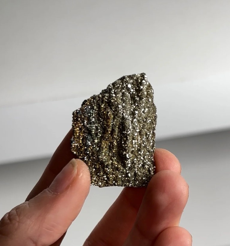 Rare Pyritized Petrified Wood – “A Tree, but Make It Gold”